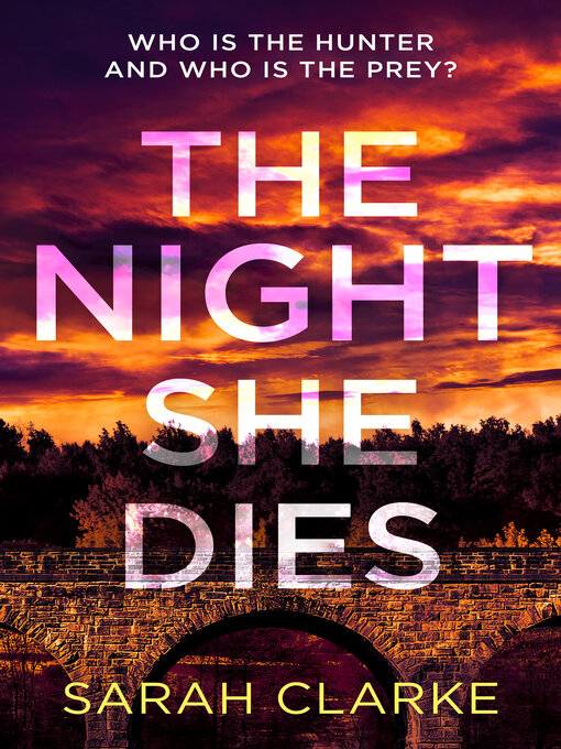 Title details for The Night She Dies by Sarah Clarke - Wait list